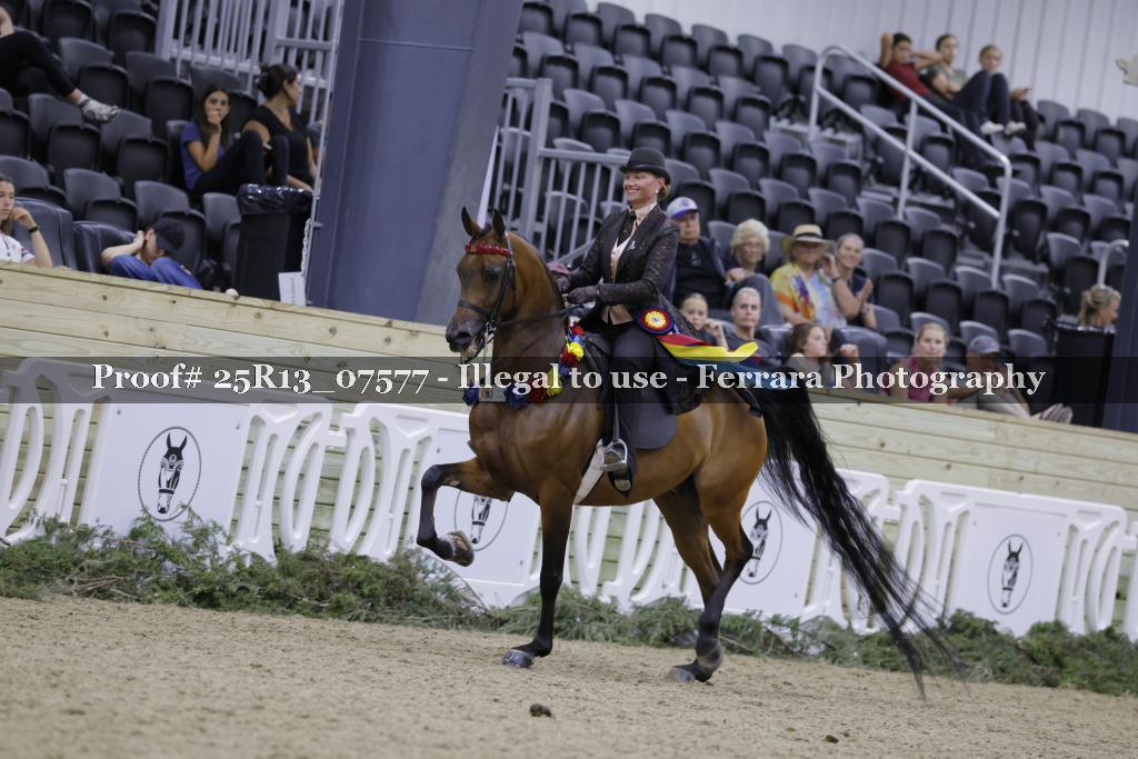Proof Number 25R13_07577