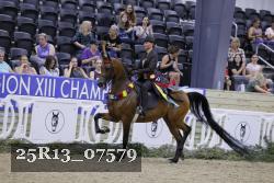 25R13_07579 thumbnail