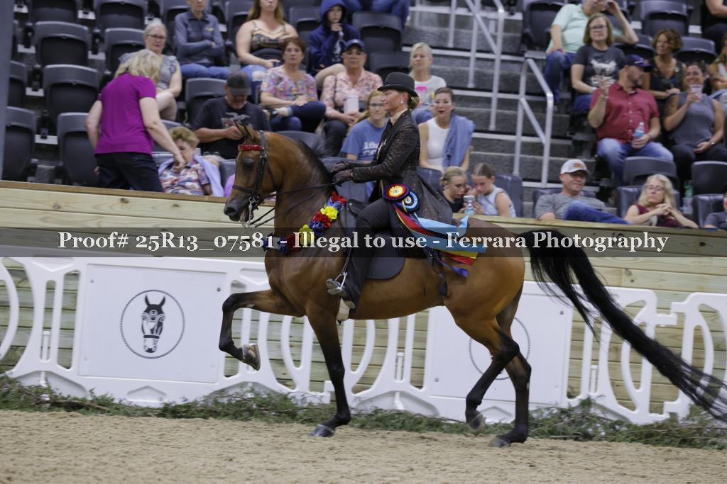 Proof Number 25R13_07581