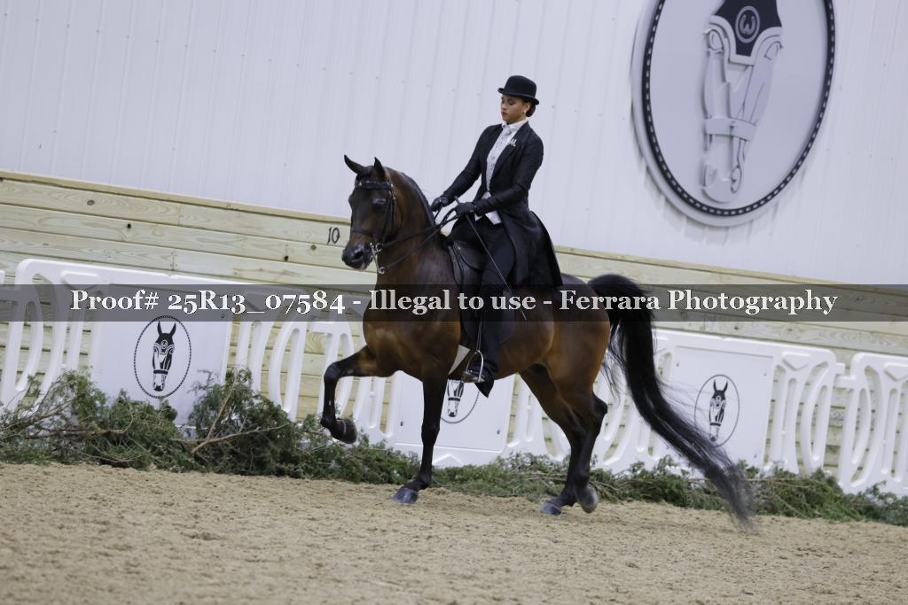 Proof Number 25R13_07584