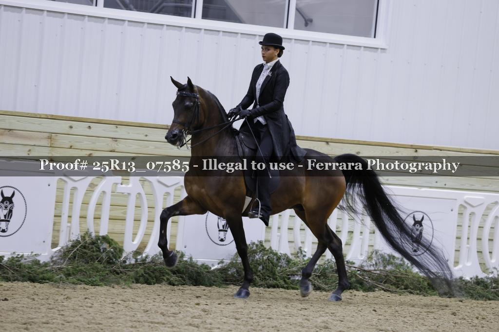 Proof Number 25R13_07585