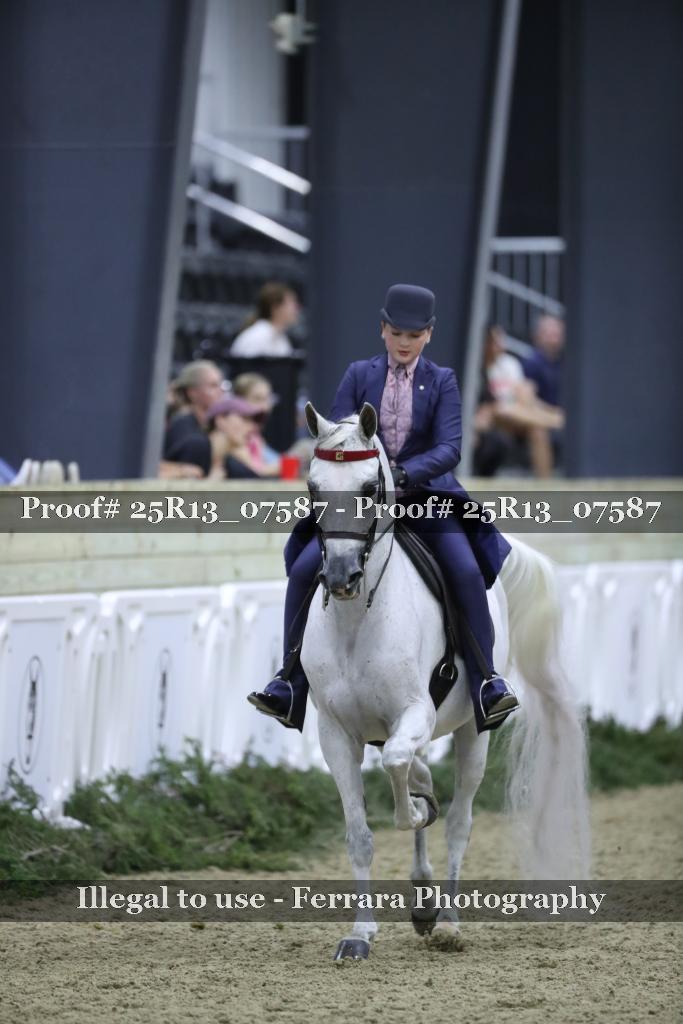 Proof Number 25R13_07587