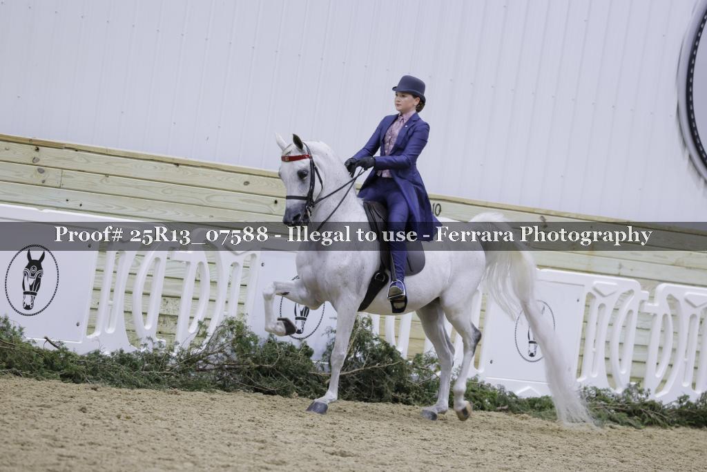 Proof Number 25R13_07588