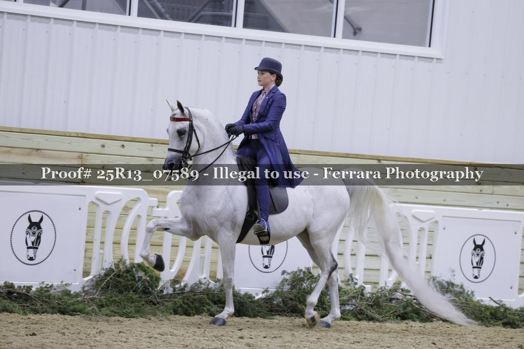 Proof Number 25R13_07589