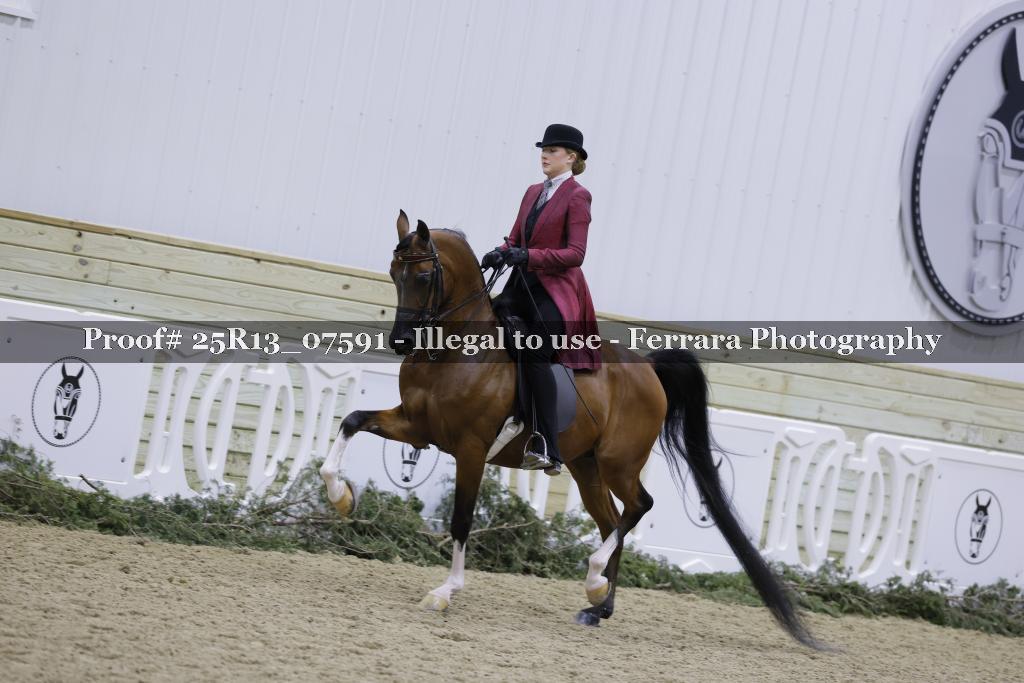 Proof Number 25R13_07591
