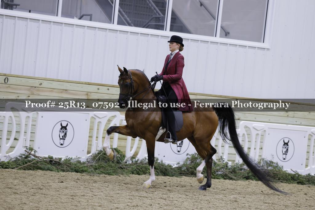 Proof Number 25R13_07592