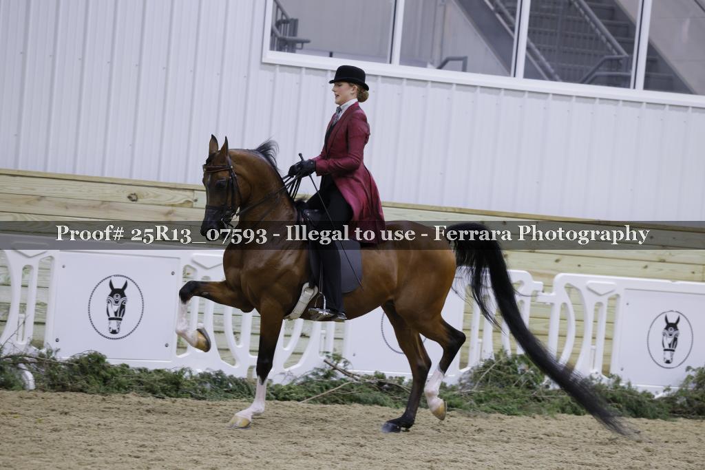Proof Number 25R13_07593