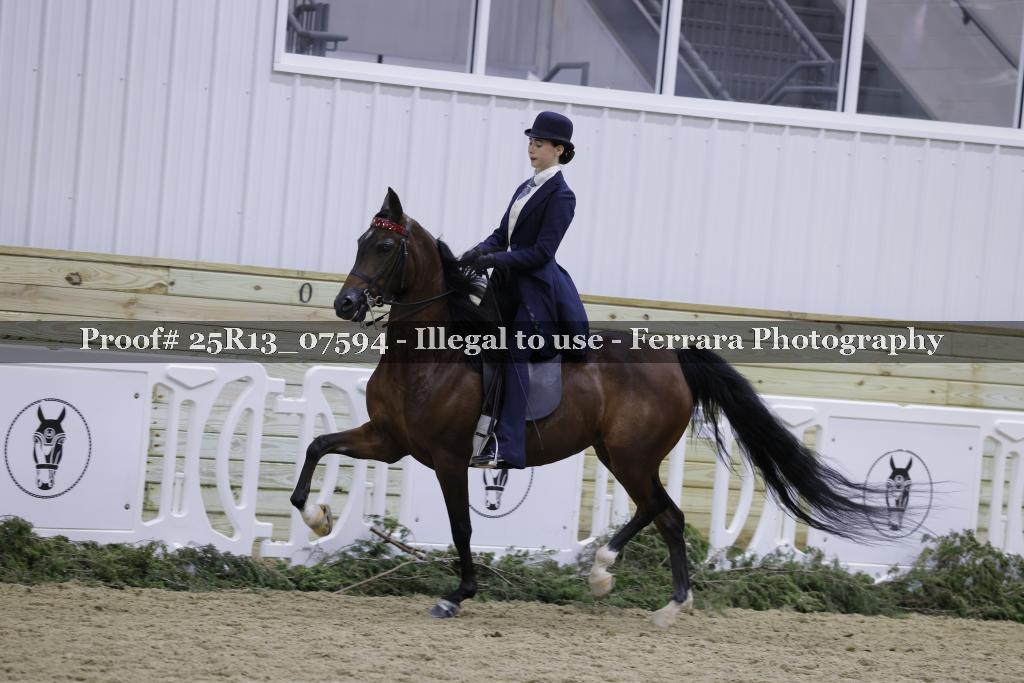 Proof Number 25R13_07594