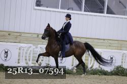 25R13_07594 thumbnail