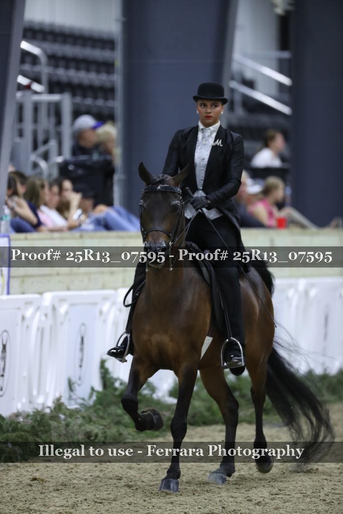 Proof Number 25R13_07595