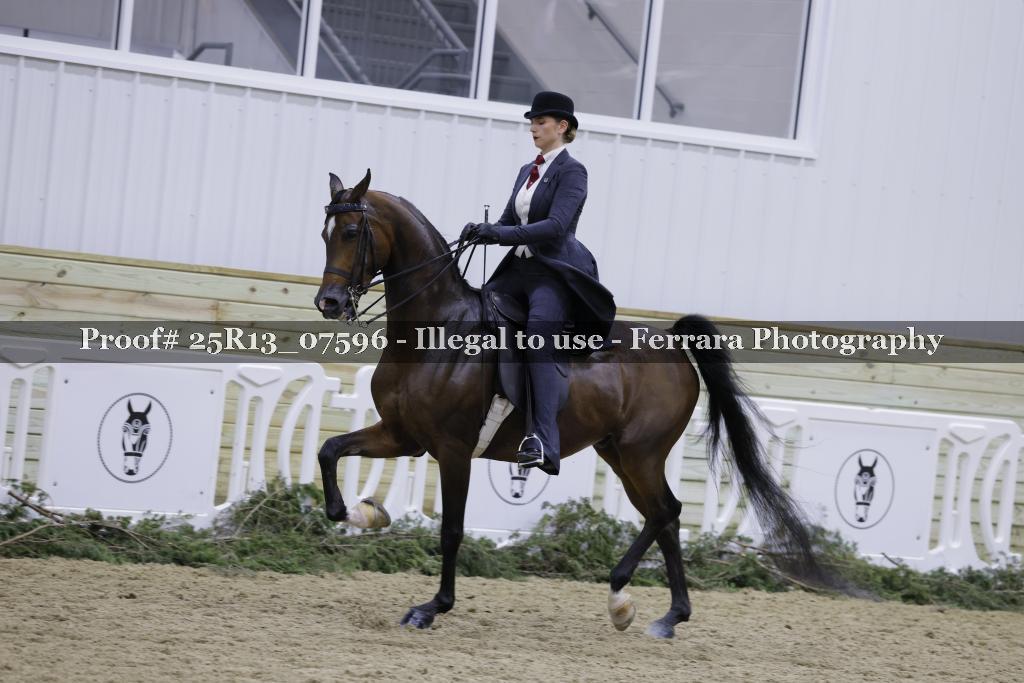 Proof Number 25R13_07596