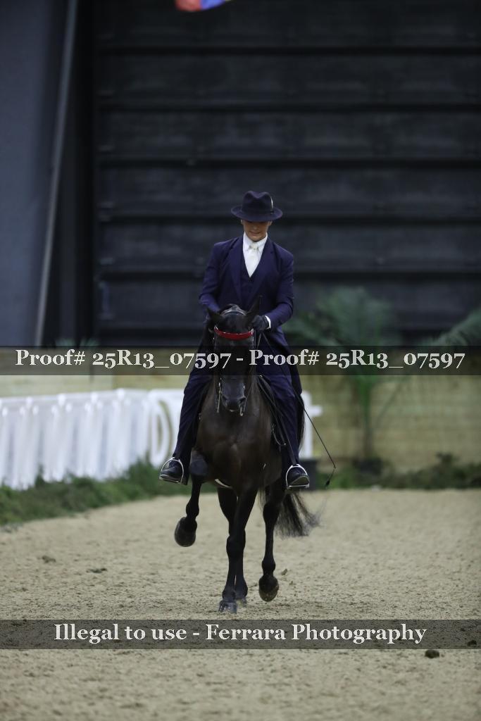 Proof Number 25R13_07597