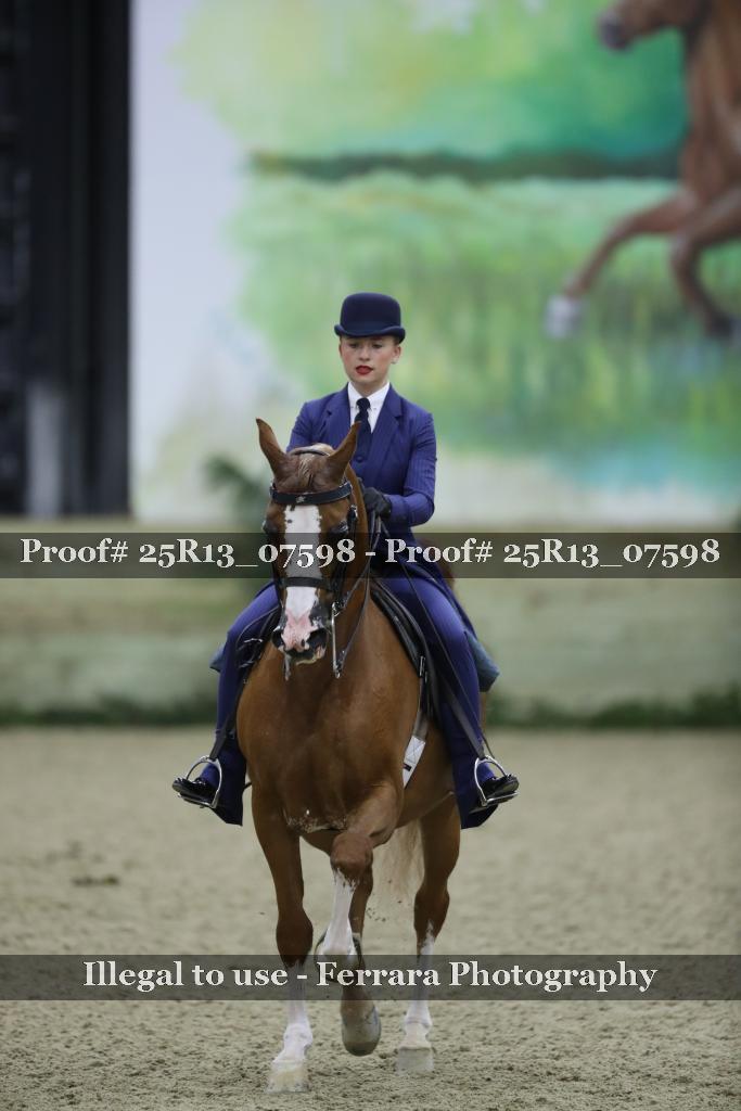 Proof Number 25R13_07598