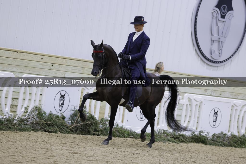 Proof Number 25R13_07600