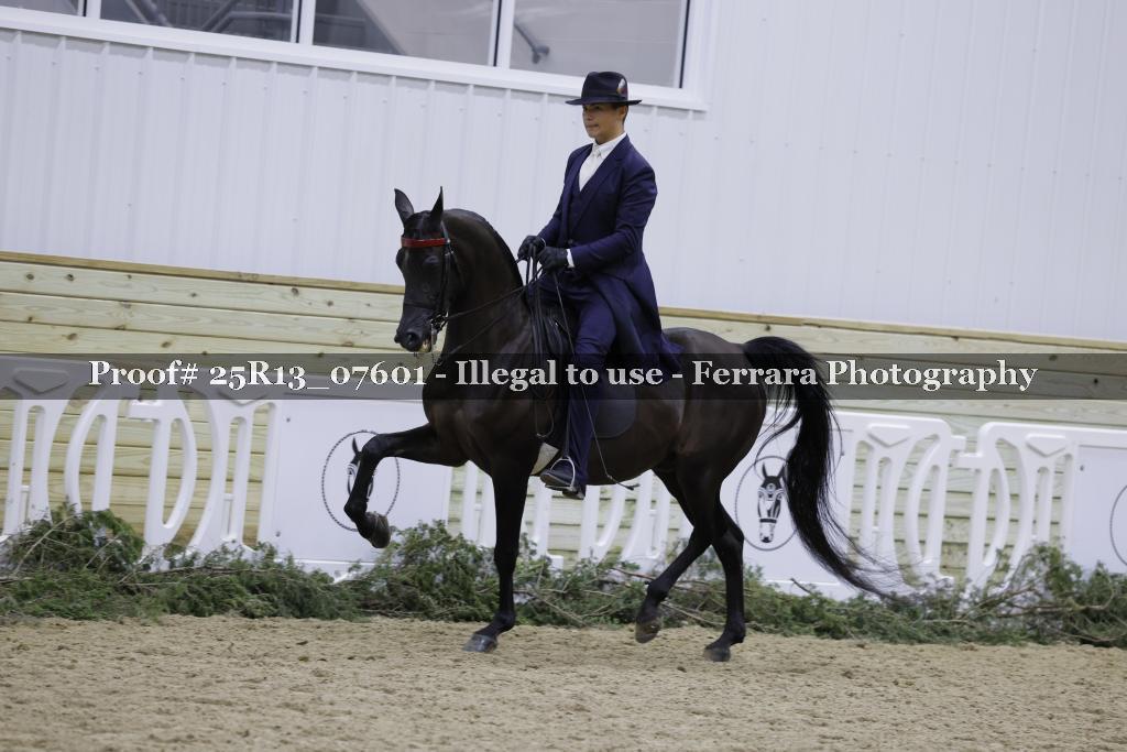 Proof Number 25R13_07601