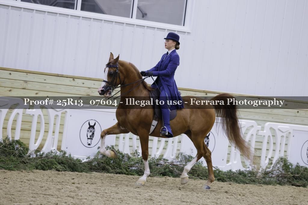 Proof Number 25R13_07604