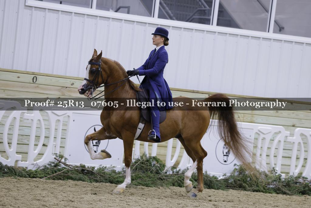 Proof Number 25R13_07605