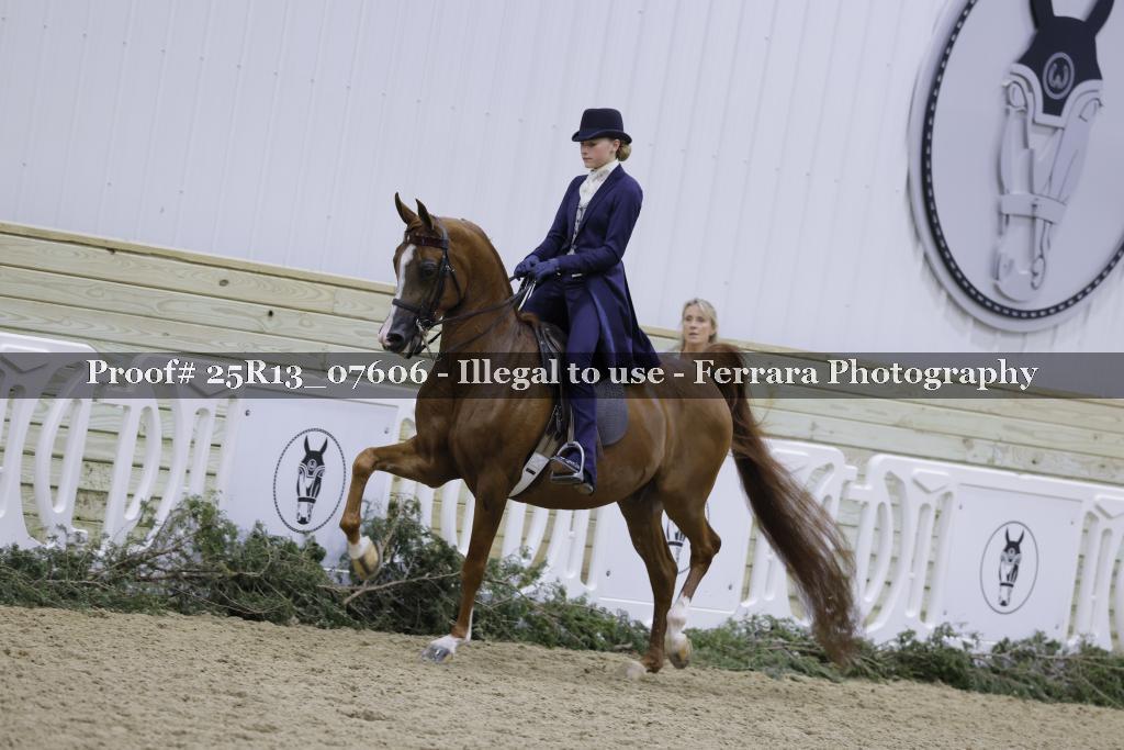 Proof Number 25R13_07606