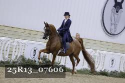 25R13_07606 thumbnail