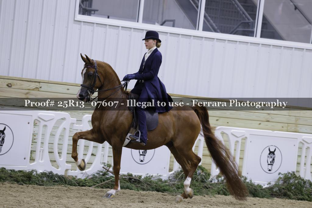 Proof Number 25R13_07607
