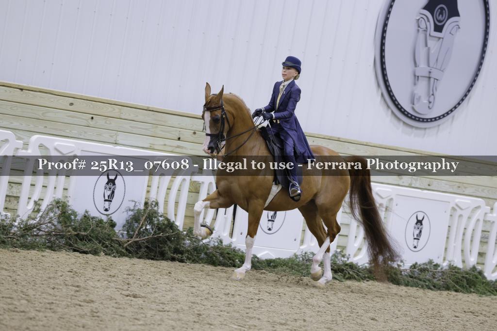 Proof Number 25R13_07608