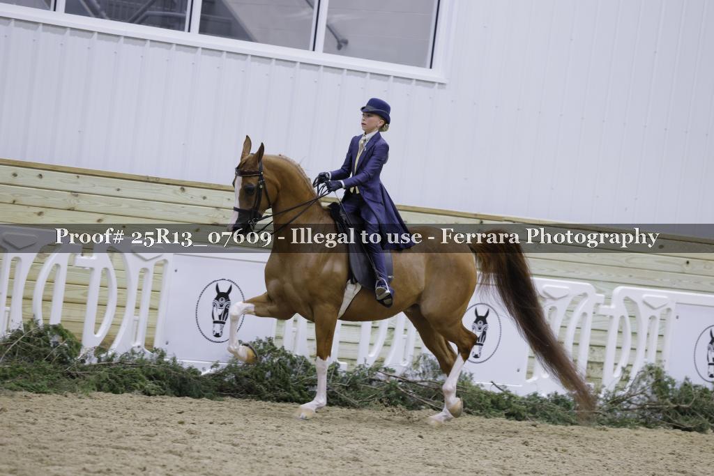 Proof Number 25R13_07609