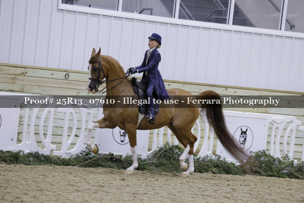 Proof Number 25R13_07610