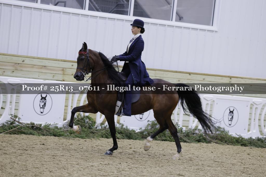 Proof Number 25R13_07611