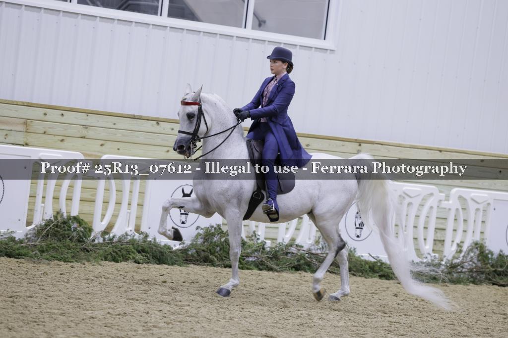 Proof Number 25R13_07612