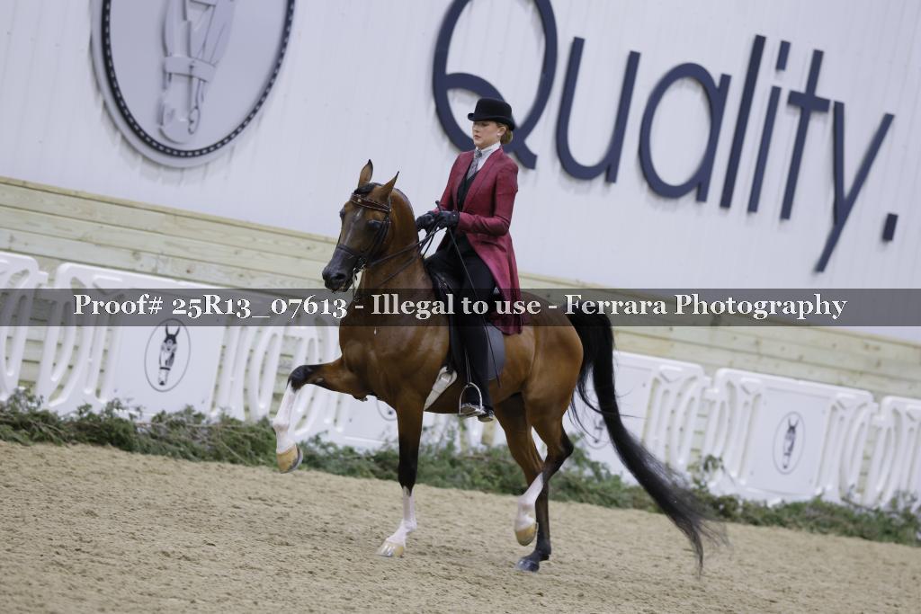 Proof Number 25R13_07613