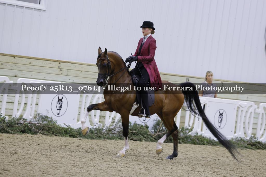 Proof Number 25R13_07614