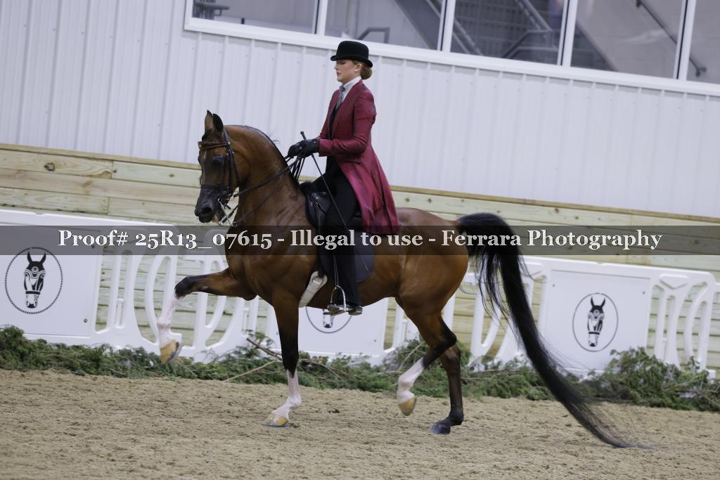 Proof Number 25R13_07615