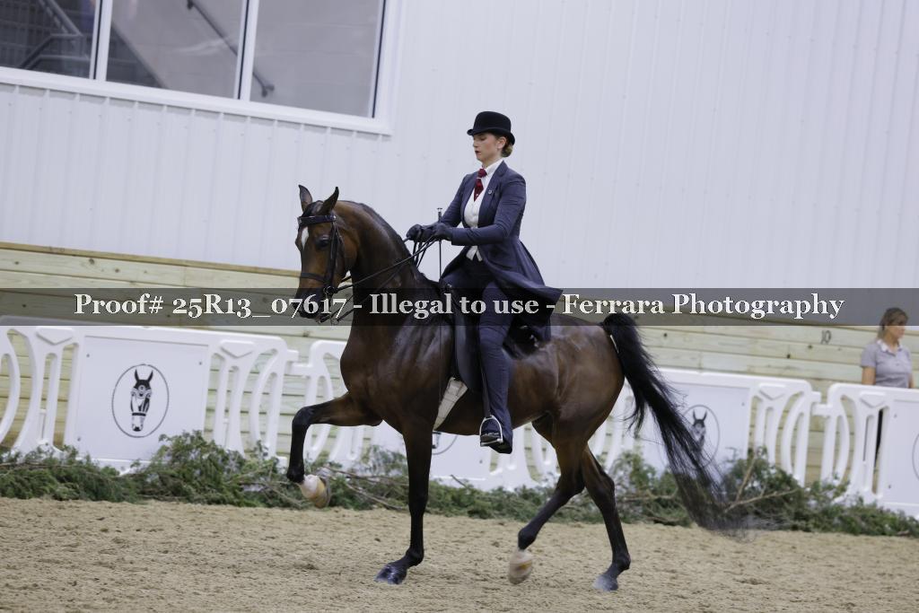 Proof Number 25R13_07617