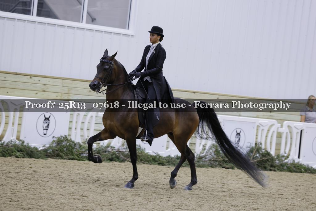 Proof Number 25R13_07618