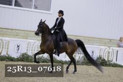25R13_07618 thumbnail