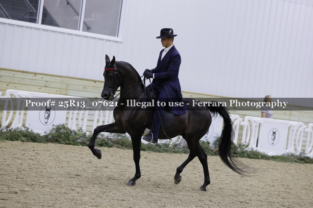 Proof Number 25R13_07621
