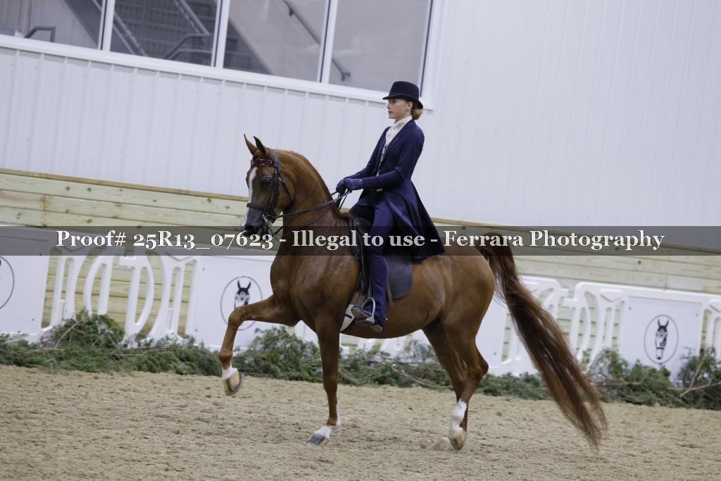 Proof Number 25R13_07623