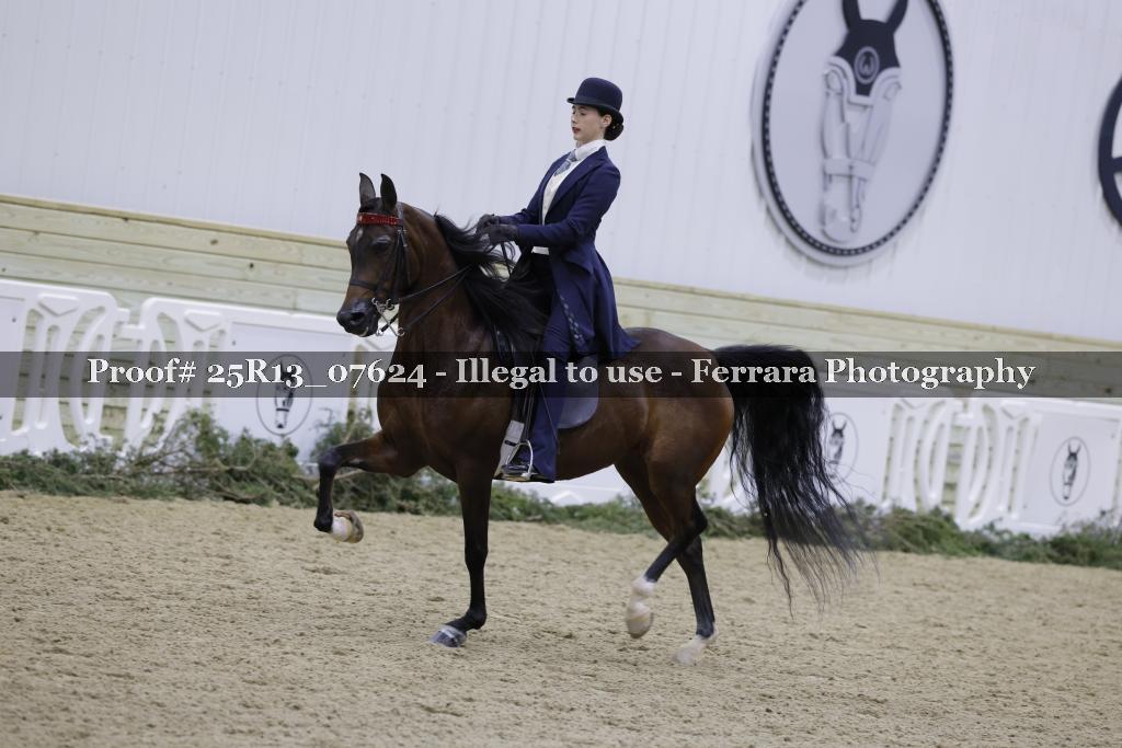 Proof Number 25R13_07624