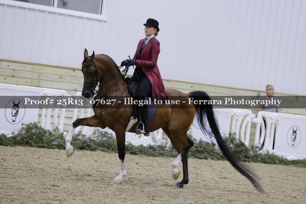 Proof Number 25R13_07627