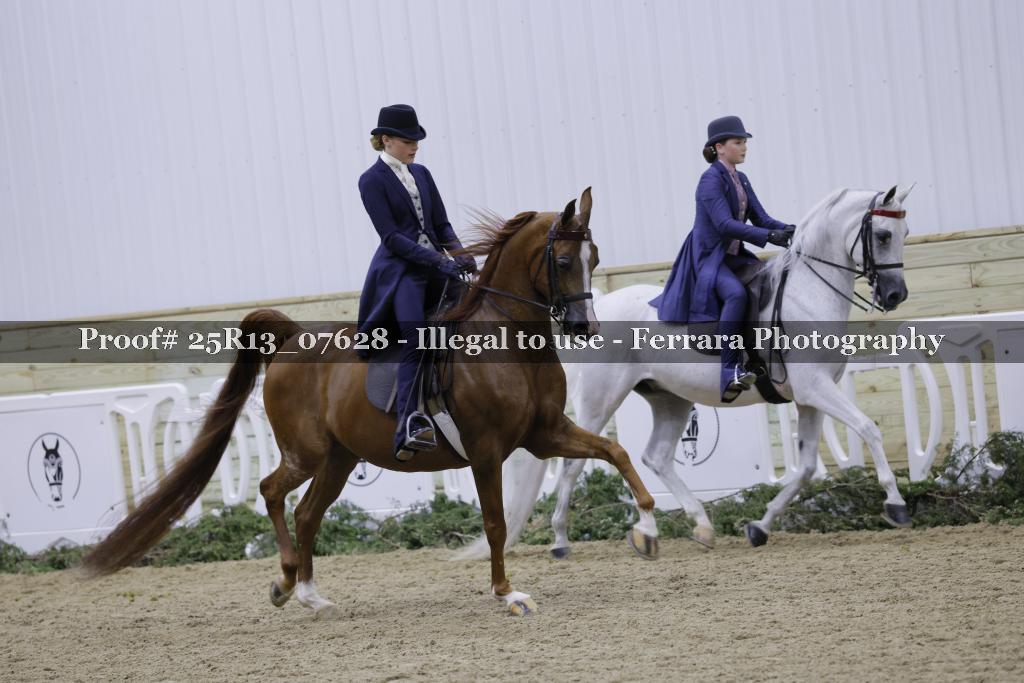 Proof Number 25R13_07628