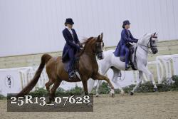 25R13_07628 thumbnail