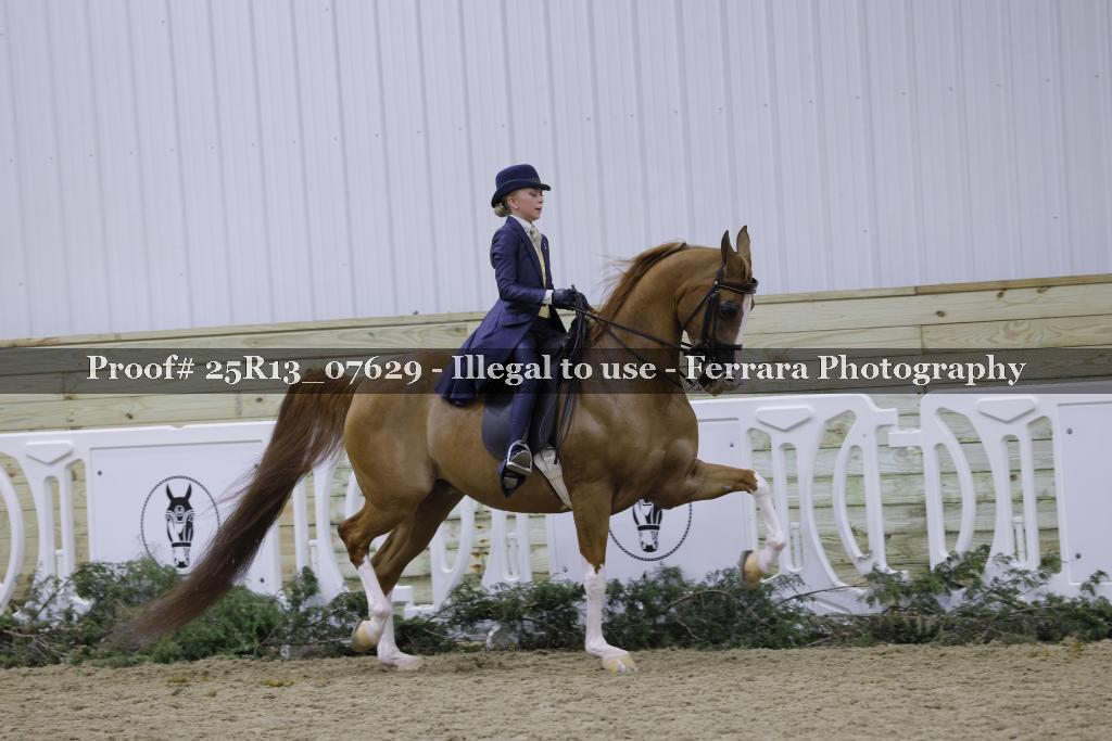 Proof Number 25R13_07629