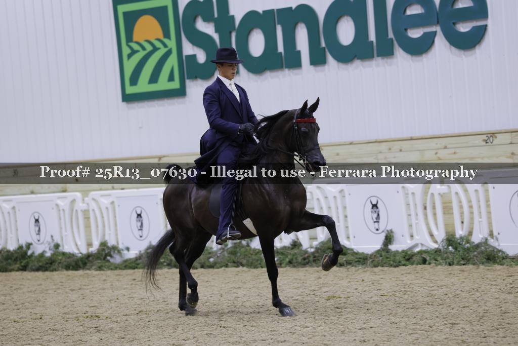 Proof Number 25R13_07630