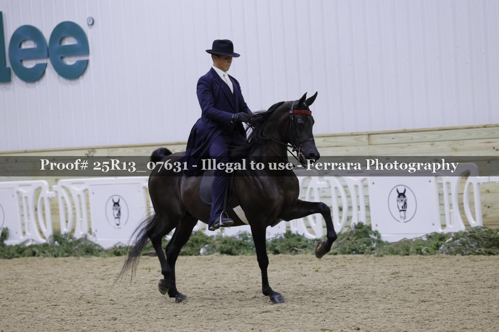 Proof Number 25R13_07631