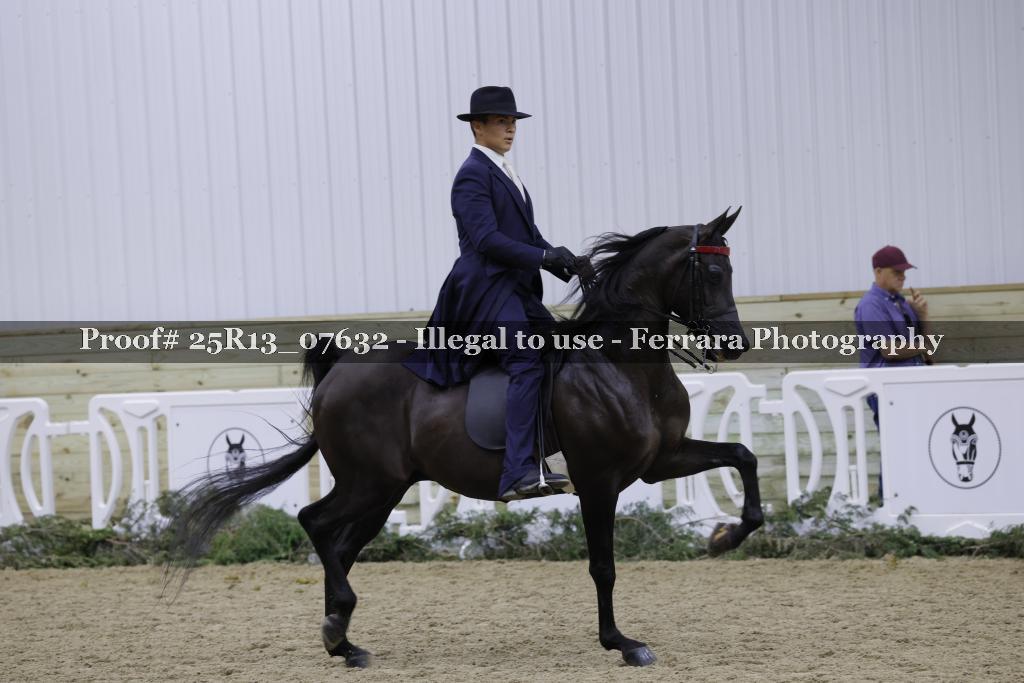 Proof Number 25R13_07632