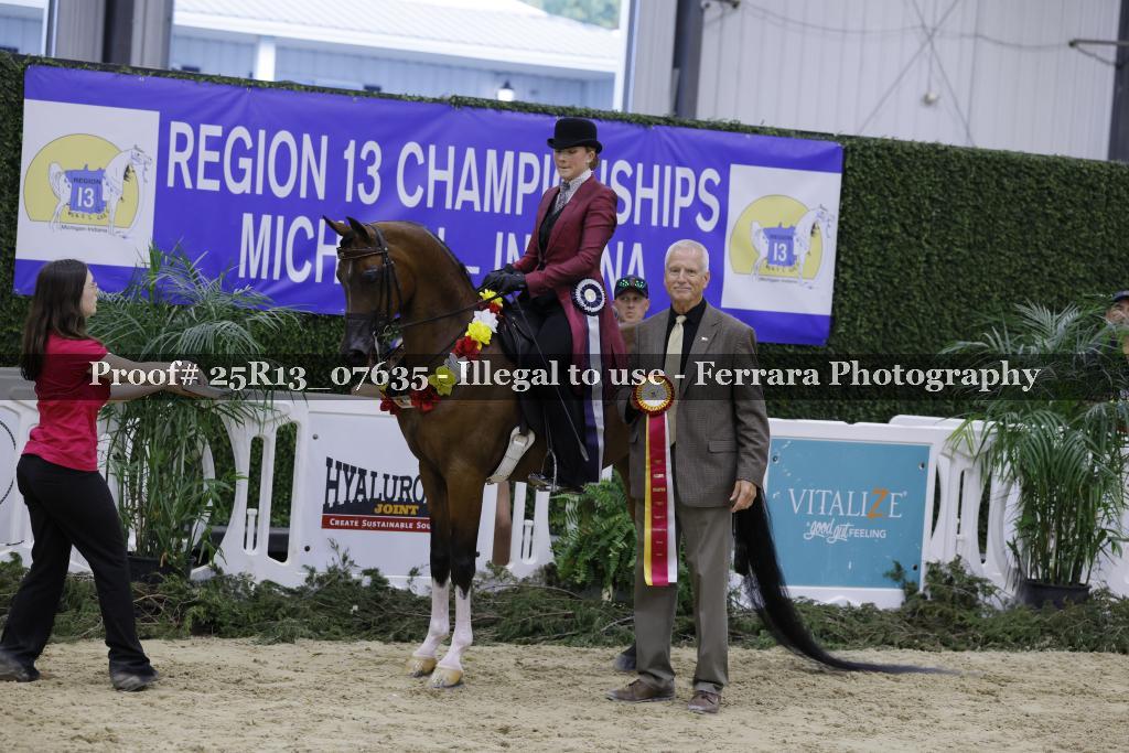 Proof Number 25R13_07635