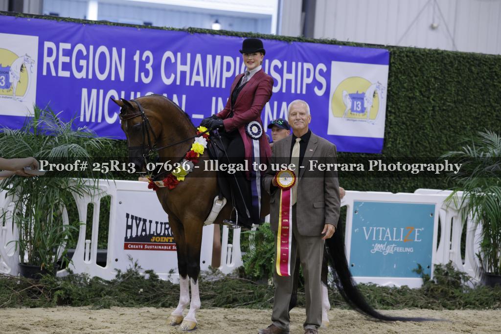 Proof Number 25R13_07636
