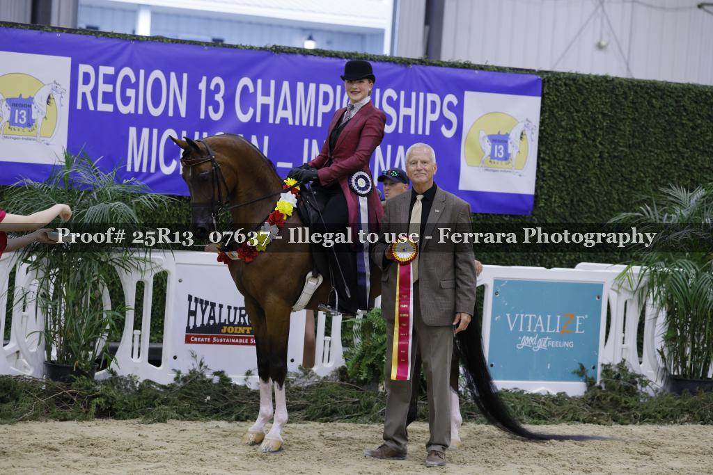 Proof Number 25R13_07637