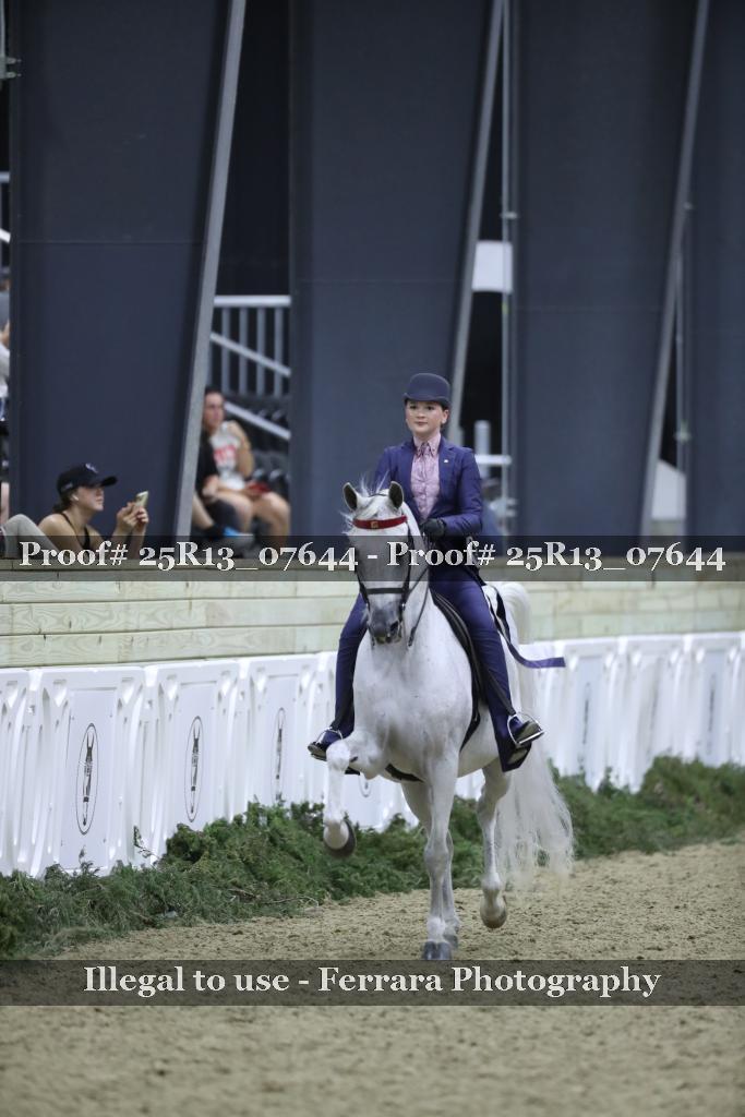 Proof Number 25R13_07644