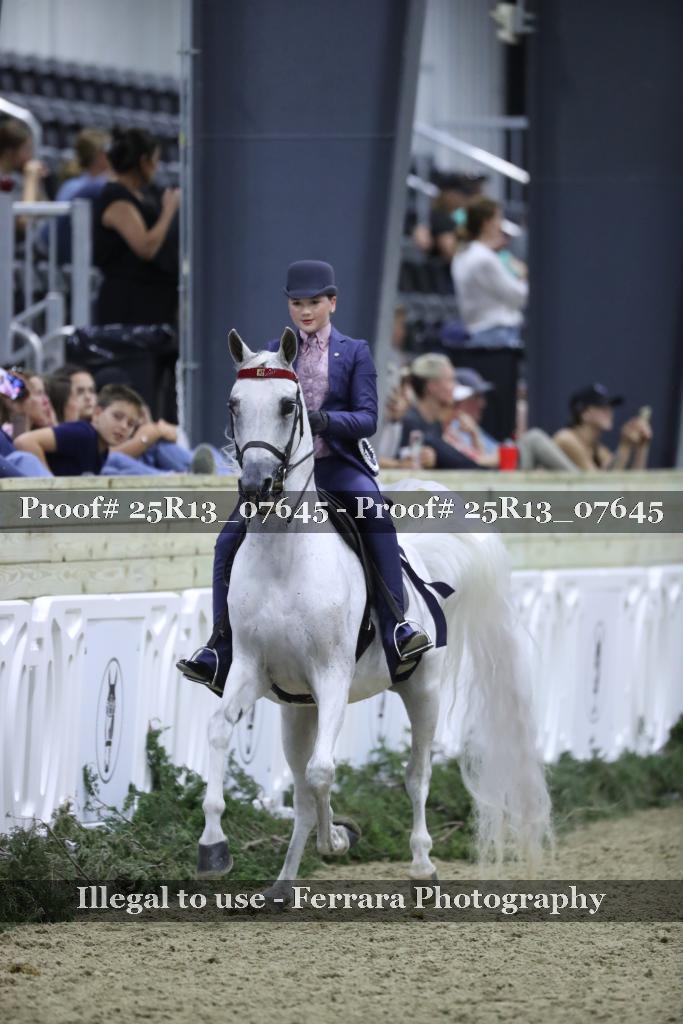 Proof Number 25R13_07645